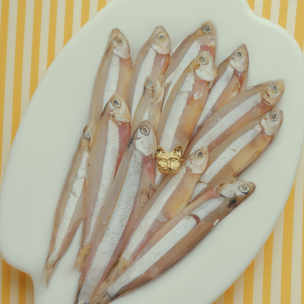 Anel Gata Mia Ouro Ajustável