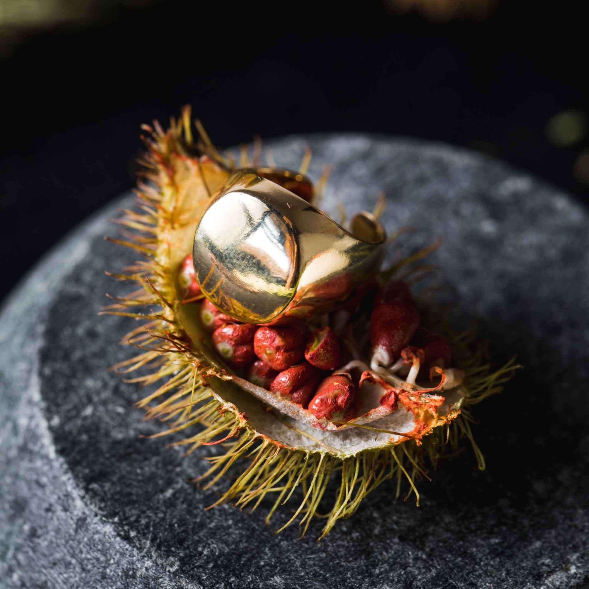 Anel Gusto Sinete Ouro Ajustável