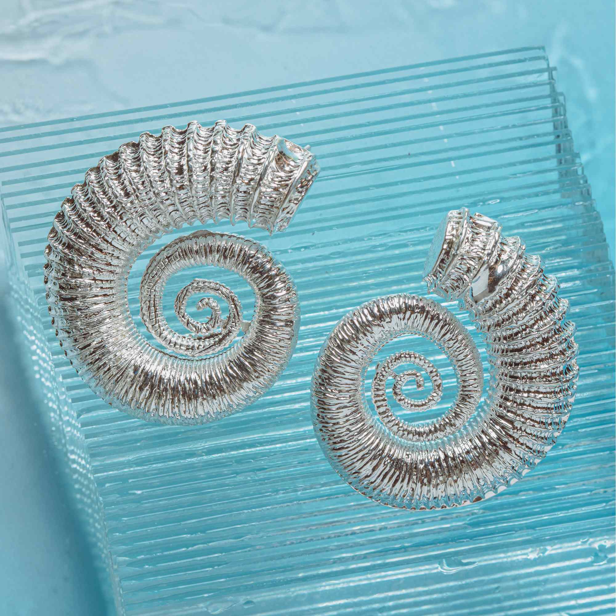 Brinco Caracol Prata