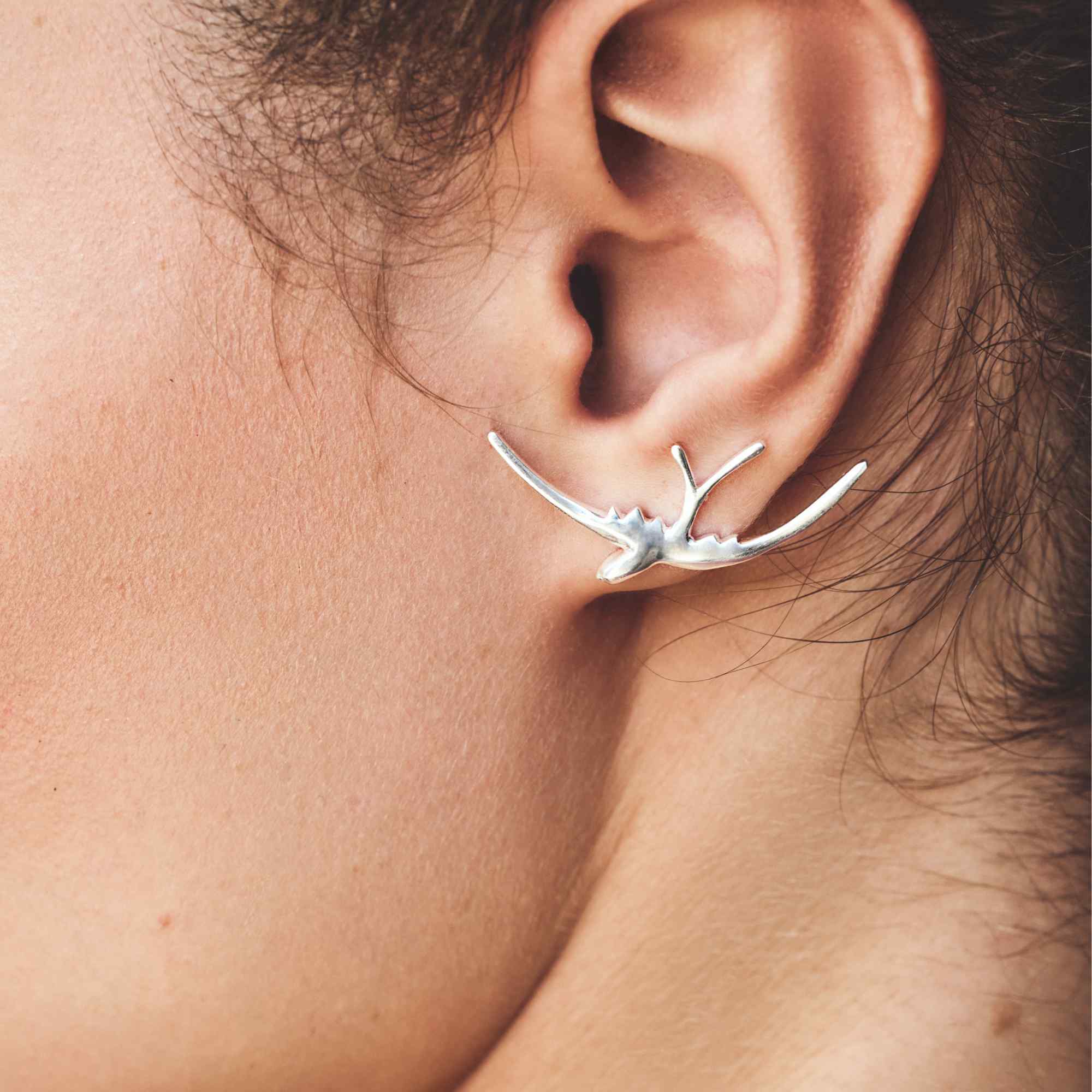 Brinco Dorinha Prata