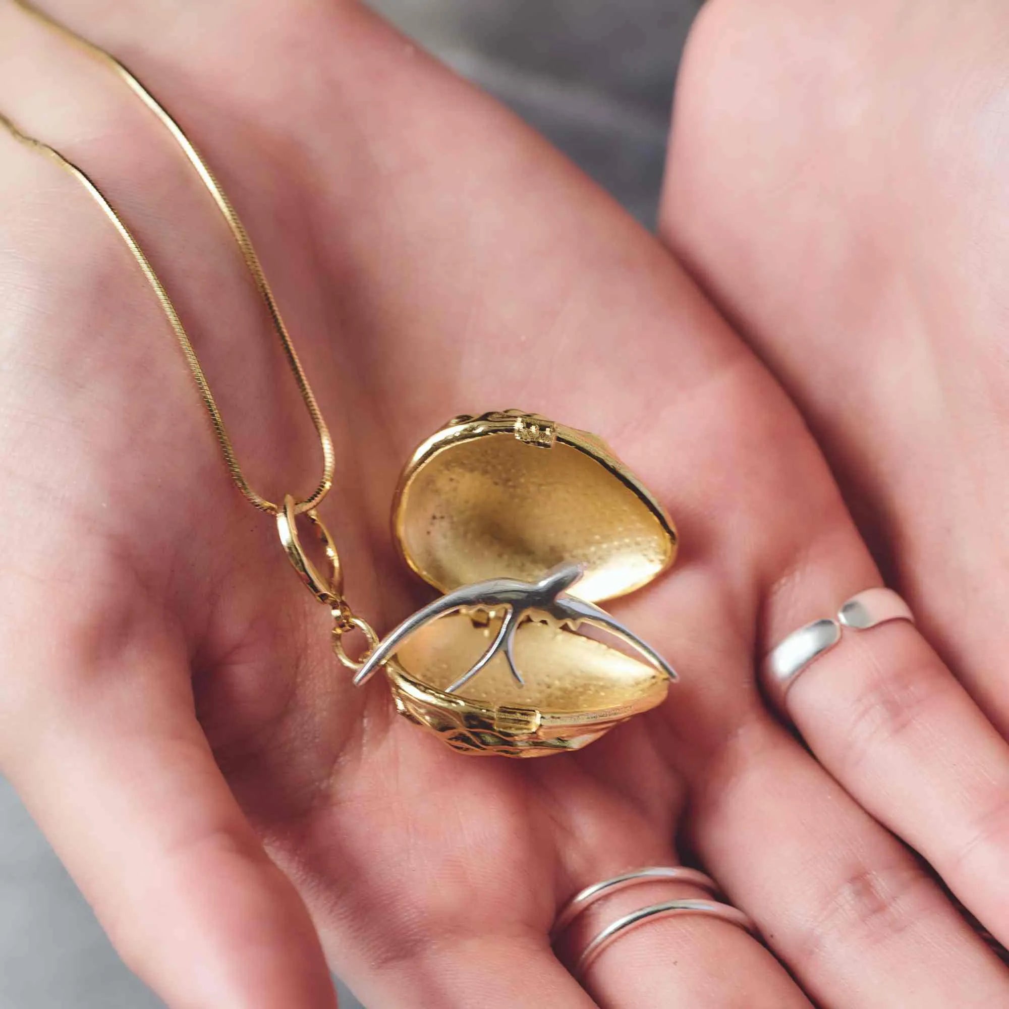 Colar Relicário Noz Ouro